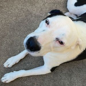 Meet your Posher, Ruby